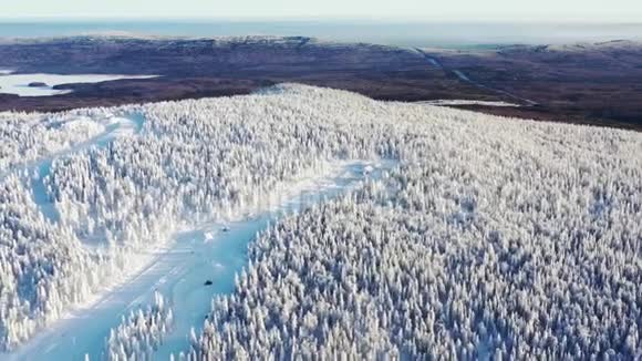 冬季在蓝天的映衬下山坡和滑雪道上被冰冻的针叶树包围录像视频的预览图