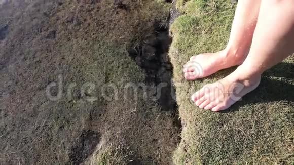 一个年轻的女孩赤脚走在海滩上通过透明的水底部可以看到石头太阳光很美视频的预览图