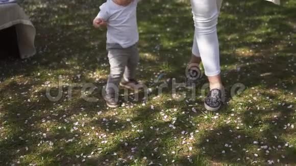 年轻的母亲和她的小儿子在樱花树下的公园里散步视频的预览图