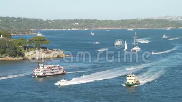 夏季进入澳大利亚悉尼港的船只视频的预览图