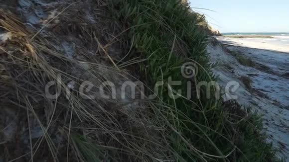 尼尔森海滩在杰维斯湾夏季澳大利亚潘移动视频的预览图