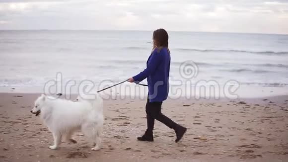 在海边的沙滩上漂亮的女孩和一只狗在散步慢镜头视频的预览图