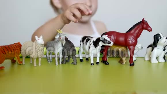 幼儿用学习玩具玩动物的生活发展逻辑和运动能力辨别动物的能力视频的预览图