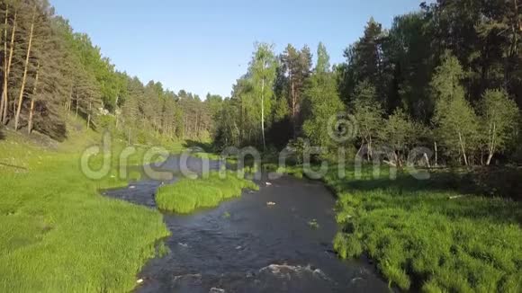 在夏天的时候飞过河流视频的预览图