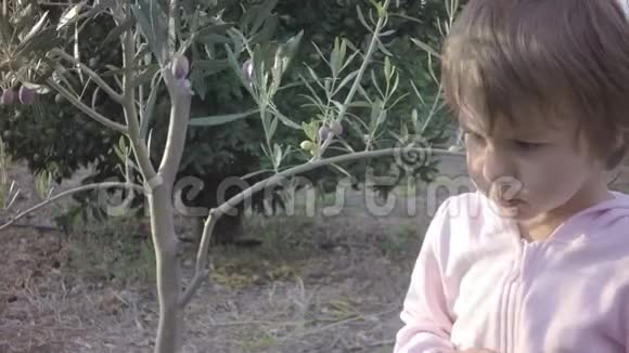 一个小孩子手里拿着从树上撕下来的橄榄视频的预览图