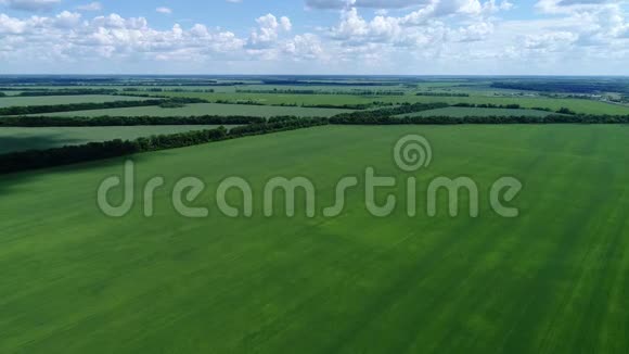 从上看俄罗斯广阔的农田视频的预览图