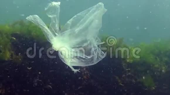 垃圾在水中聚乙烯袋杀死海洋动物虾死自然生态塑料视频的预览图