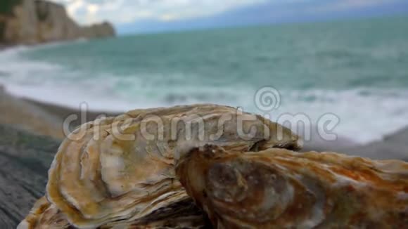 大西洋沿岸的新鲜牡蛎视频的预览图