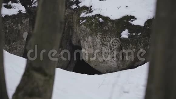 2两个地质学家来到森林里的山洞里视频的预览图
