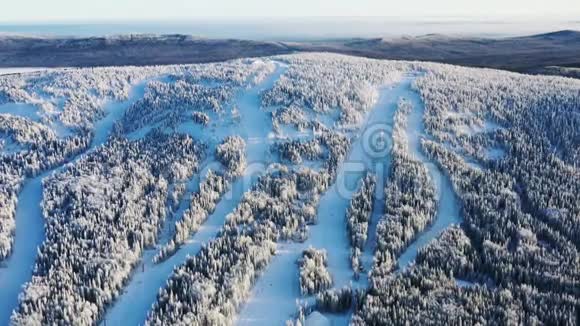 冬季冰冻森林的空中景色和蓝天上的滑雪道录像美丽的冬季景观视频的预览图