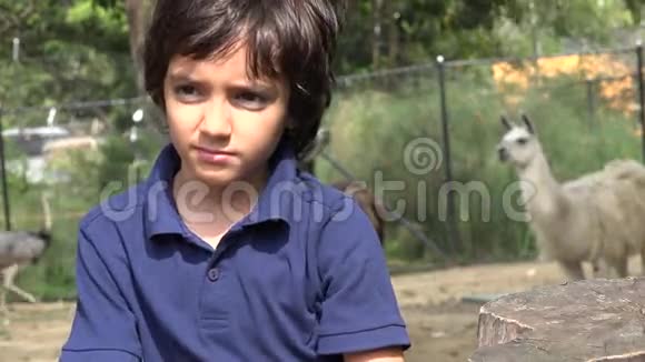 动物园里的西班牙男孩视频的预览图