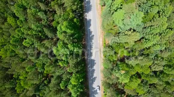 森林中白色汽车行驶道路的鸟瞰图视频的预览图