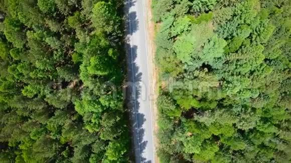 从森林中俯瞰公路按顺时针方向旋转视频的预览图