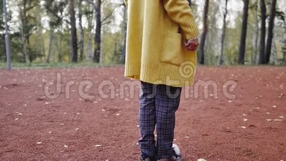 一个穿着黄色毛衣的年轻女子在秋天公园散步腿和毛衣特写在秋天公园跳舞的女人视频的预览图