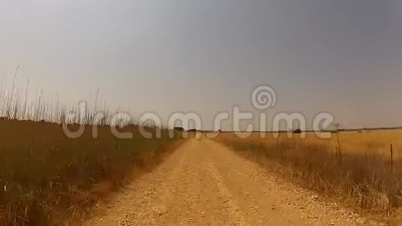 笔直的尘土飞扬的道路视频的预览图