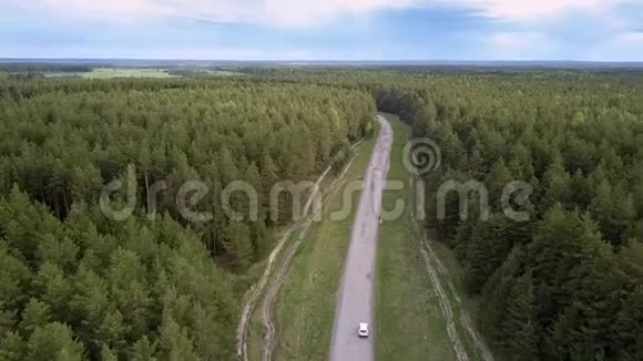 现代车辆行驶在灰色的道路上在无尽的森林中视频的预览图