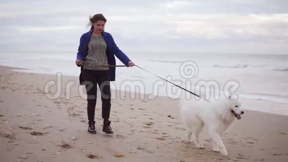 年轻迷人的女人和一条狗在海边的沙滩上散步慢镜头视频的预览图