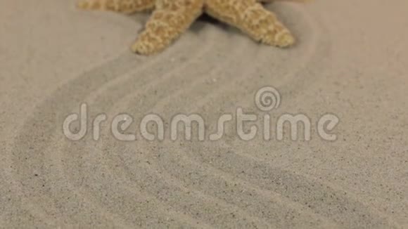 一只美丽的黄色海星躺在由沙子组成的锯齿形上的近似视频的预览图