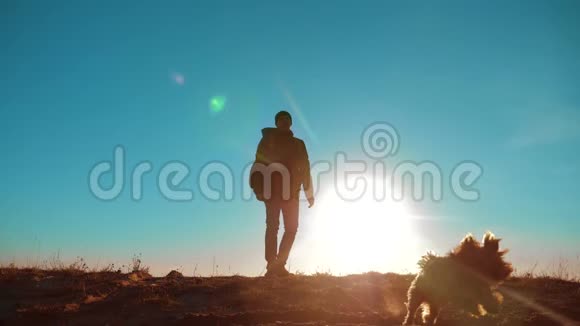 男子剪影旅行者举起小约克郡猎犬背包阳光站在上面视频的预览图