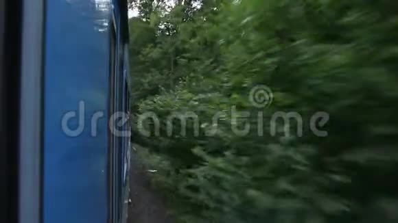 站在密林中的寡妇从火车里出来向前看视频的预览图