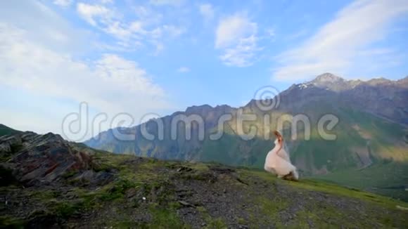 结婚纪念日新娘穿着一件漂亮的婚纱背景是美丽的山景视频的预览图