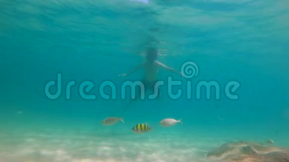 4k慢镜头白种人年轻男子浮潜面具和呼吸管在一个美丽的海洋与许多视频的预览图
