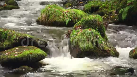天然河流视频的预览图