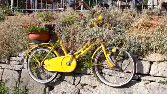 自行车黄色艺术花坛视频的预览图