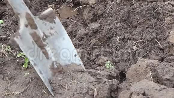 农业工作深挖泥土秋场工作视频的预览图