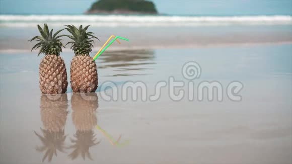 海滩上2菠萝视频的预览图