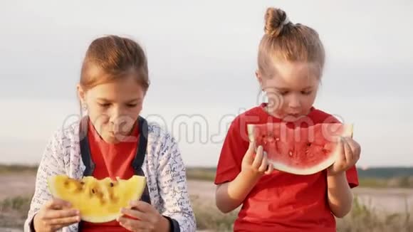 日落时两个女孩吃黄色和红色的西瓜一个漂亮的小女孩吃着一种罕见的黄色西瓜视频的预览图