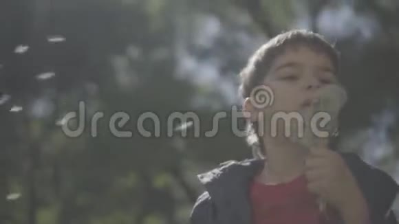 学龄前儿童在公园里吹蒲公英高速相机慢动作视频的预览图