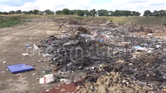 塑料聚乙烯和玻璃垃圾在野外环境污染环境灾害破坏自然视频的预览图