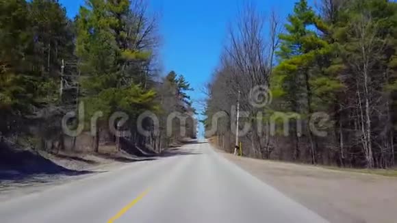 在春日期间驾驶农村森林司机的观点沿着美丽的阳光林地树木视频的预览图