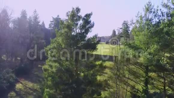 新森林国家公园著名莱茵菲尔德大厦视频的预览图