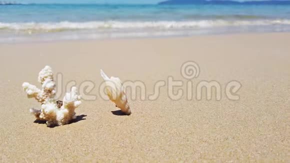 岛上沙滩和海浪上的白色珊瑚和贝壳视频的预览图