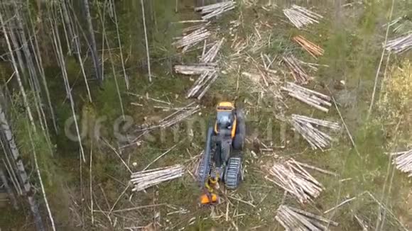 伐木机器砍树视频的预览图