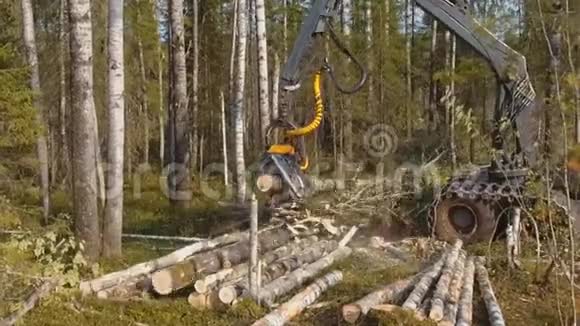 伐木机器砍树视频的预览图