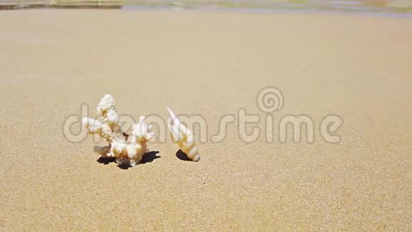岛上沙滩和海浪上的白色珊瑚和贝壳视频的预览图
