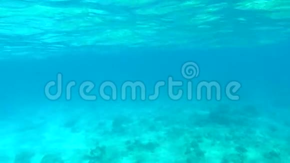 令人惊叹的清澈蓝海水景高清GoPro慢动作潜水背景视频的预览图