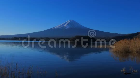 山日本川口湖离石公园蓝天富士视频的预览图