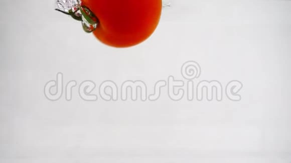 一个成熟的红番茄在左侧水下旋转俯冲慢动作特写视频的预览图