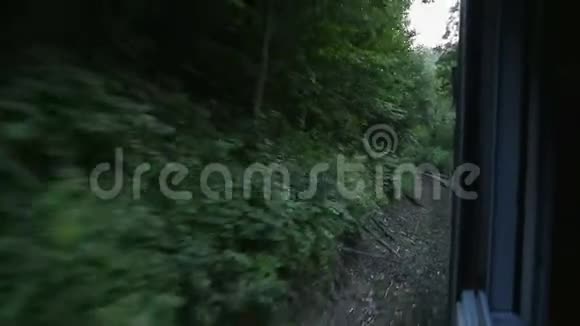 从火车窗外眺望茂密的森林后面路过的树木视频的预览图