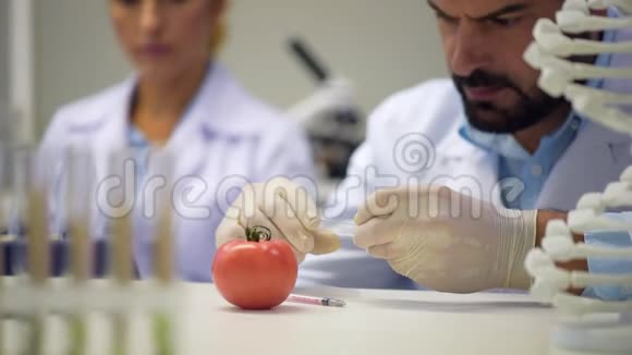 男性科学家研究样本并注射番茄化学物质视频的预览图