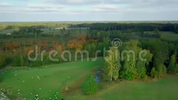 乡村景观全景视频的预览图
