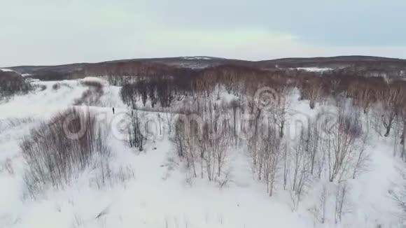 在森林里从高空起飞的滑雪者视频的预览图