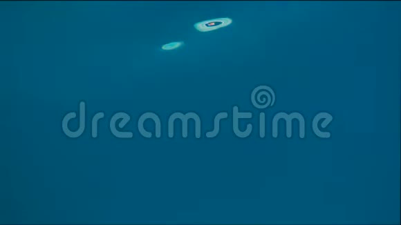 年轻人在水下拍摄的海洋游泳剪影视频的预览图