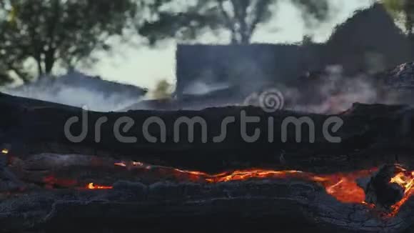 树木树干在篝火中慢慢燃烧视频的预览图