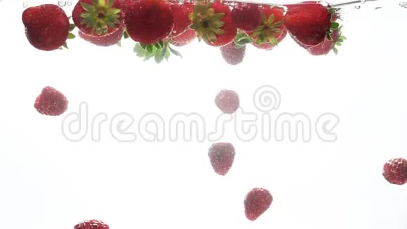 红色成熟浆果在白底清水中漂浮和淹死的特写慢镜头视频的预览图