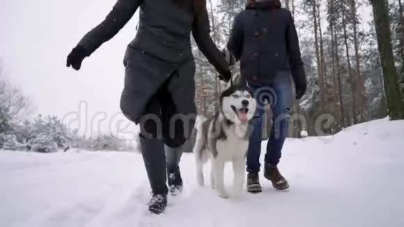 为快乐的现代夫妇在冬天在户外玩可爱的哈士奇小狗的画像把焦点放在亚洲男人的脸上视频的预览图